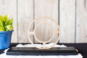 Sparton Bluebird Speaker Frame
